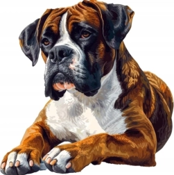 Teemandimaal boxer 30 × 40 cm