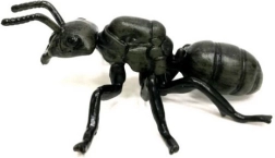 Läikivmusta sipelga figuur