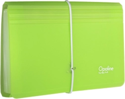 Document Organizer with Elastic Band Clear-Green