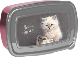 Paso lõunakarp kassipildiga 750 ml