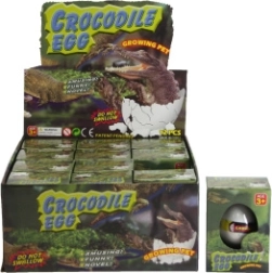 Vesi alla kasvav krokodillimuna