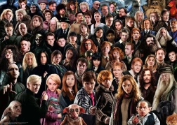 Puzzle Challenge Harry Potter 1000 Pieces