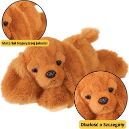 Pehme koer Cocker Spaniel raskustega käppadega, pruun 30 cm