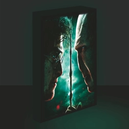LED-valgustusega pilt 30x40, Harry Potter – Harry vs. Voldemort