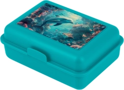 Delfiiniga lõunakarp