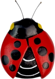 Puidust magnet lepatriinu 2Kids Toys
