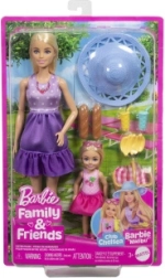 Barbie Family and Friends at the Picnic