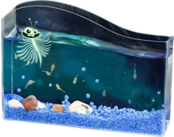 Kosmos vee lemmikloom – soolvee vihmausside stardikomplekt