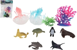 Mereelukate ja korallide komplekt