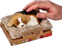 Haukkuv beagle pesal