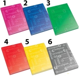 Record book Office A4, 80 sheets, ruled (assorted colors)