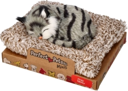 Perfect Petzzz väike hall triibuline kassipoiss