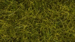 Noch staatiline rohi – metsik niit 12 mm