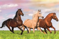 TREFL Puzzle World of Horses: Galloping Across the Meadow 54 pieces