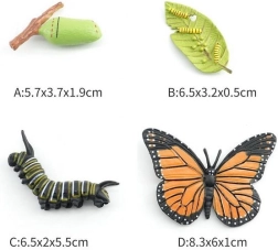 Liblika kujuke neljas arengufaasis