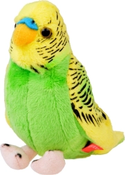 Pehme laineline papagoi, rohekollane