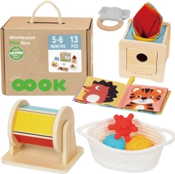 Montessori hariduslik 6-ühes kast beebidele 5–6 kuud WOOPIE