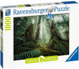 Pusle 1000 tükki Metsad Ravensburger