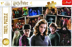 Puzzle HARRY POTTER and Friends 160 pieces Trefl