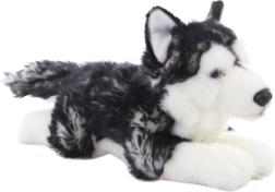 Lamav plüüsist husky (lamav) 35 cm
