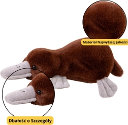 Pruun plüüšist nokkloom 32 cm