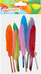 Dekoratiivsete sulgede loominguline komplekt