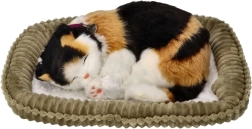 Hingav trikoloorne kassipoeg pesakesel