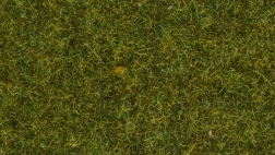 Static Grass Meadow 4 mm