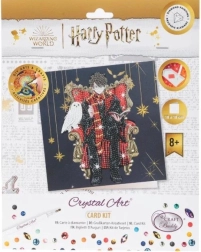 Crystal Art postkaart Harry Potter ja Hedwig 18 × 18 cm
