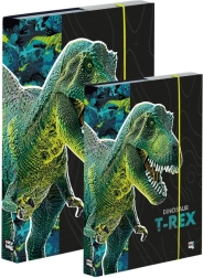 A4 ja A5 vihikukarbi komplekt – dinosaurus