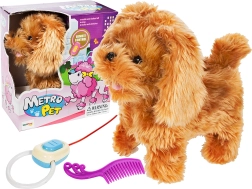 Interaktiivne kaugjuhitav kutsu