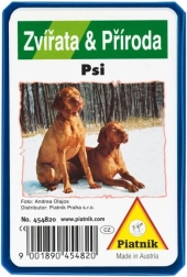 Kvartett – koerad (plastkarp)