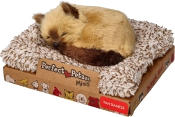 Perfect Petzzz väike siiami kassipoeg