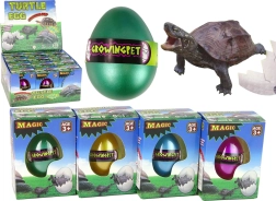 Maagiline kasvava kilpkonnaga muna 6 cm