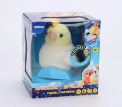 Kordav ja laulav papagoi mänguasi STEPPOS