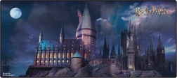 Mängumatt HARRY POTTER 90 × 40 cm
