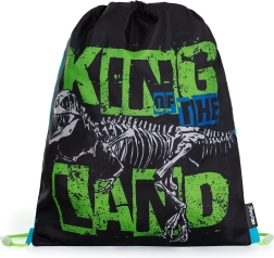 Premium dinosauruse motiiviga spordikott