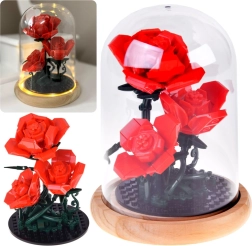 LED-valgustusega roos kupli all, 219 tükki