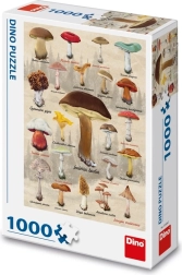 Dino pusle seente kollaaž 1000 tükki