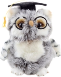 Plüüšist lõpetajast öökull