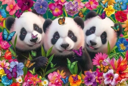 Pusle Panda trio 200 tükki