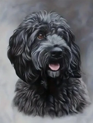Teemantmaalimine must cockapoo 30 × 40 cm