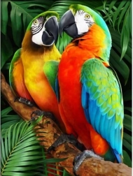 Teemandimosaiik (diamond painting) Värvilised arad 30 × 40 cm