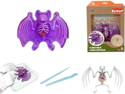 Discover: Bat Dissection – Educational Slime Kit