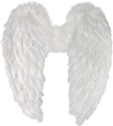 Angel Wings with Feathers