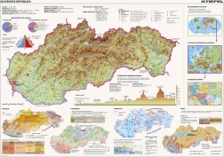 Slovakkia kaardi pusle 2000 tükki