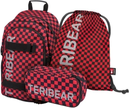 BAAGL 3-OSALINE KOMPLEKT Skate Teribear