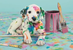 Puzzle 500 Pieces Compact – Playful Dalmatian