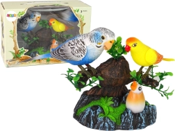 Laulvad liikuvad papagoid värvilisel puul