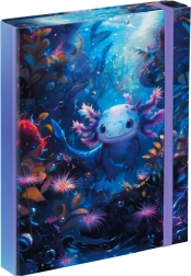 A5 koolivihikute kaaned Axolotli motiiviga